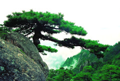 景点模块 