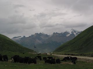 康定跑马山风景区