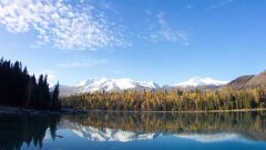 f4284ac6_w240_h135_c1_t0.jpg