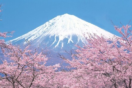 感受世外桃源般的宁静祥和:零距离接触富士山五合目世界遗产巡礼