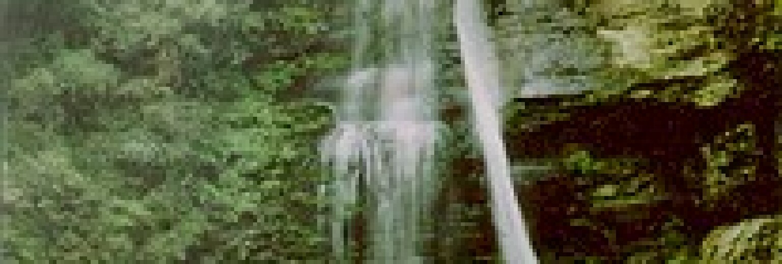 【2019】奇丽峡旅游攻略_奇丽峡自助游攻略_