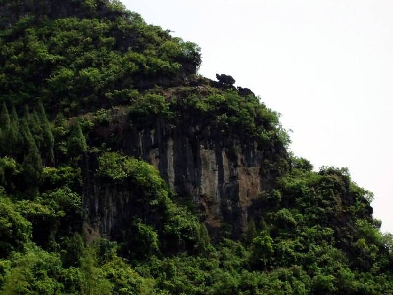 乌龟爬山