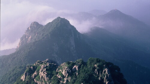  泰山1日游>登五岳之首,纯玩无购物(当地游)
