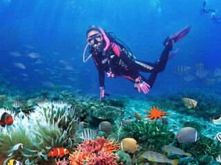 三亚亚龙湾潜水