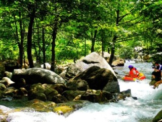 浙江漂流排名_浙江毒蛇排名图片(2)