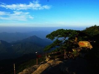 薄刀峰-卧龙松