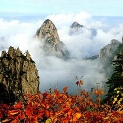 景点模块 