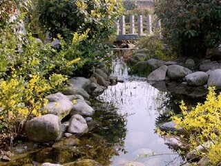  无锡樱花温泉-灵山半自助2日游>宿华美达赠演出和餐