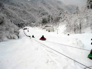 享价值329元的 冰雪大明山-香格里拉白水涧2日游>高山滑雪专线 宿市区