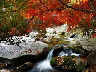  辽宁本溪老边沟风景区自驾1日游>层林尽染,五彩花山