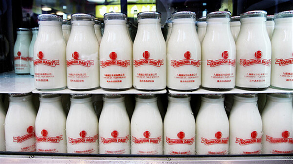 <香港豪境酒店4日自助游>免费wifi，油尖旺商圈