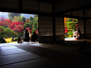 仅售3499元起!享价值5384元的 大阪赏樱5日游