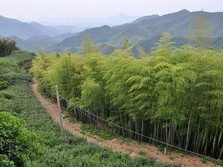 [元旦 余杭山沟沟-双溪风情小镇-径山寺3日游>特价班,赠2早4正