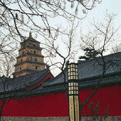 景点模块 