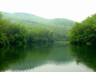  谷里薰衣草-石塘人家-石塘竹海1日游>给自己放个小假