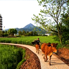景点模块 