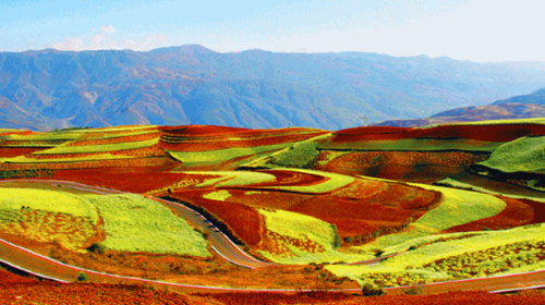 东川红土地曲谱_东川红土地