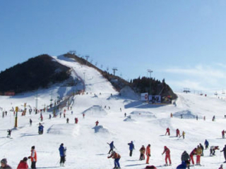 [春节] 青岛藏马山滑雪自驾1日游>春节3小时滑雪