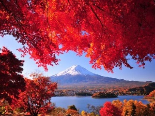  大阪-京都-东京-富山9日游>秋季立山绝景,错过再等1年