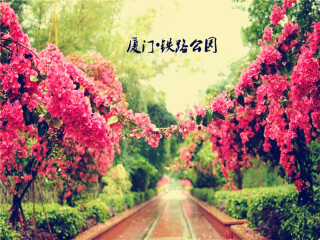廈門鼓浪嶼九月旅游_廈門鼓浪嶼游 旅行團(tuán)_廈門鼓浪嶼旅游要多少錢跟團(tuán)