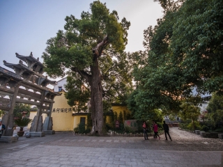 荻浦村
