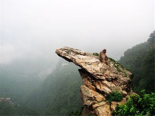 花果山美景