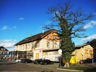 仅售15999元起!享价值30187元的 奥德瑞12日