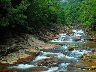 余姚丹山赤水-溪口-慈城2日游四明山踏青,特惠班仅298