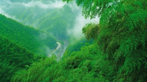  湖州2日游>宿大年初一风情度假村 竹海避暑 激情漂流