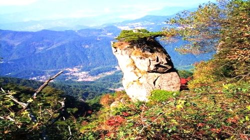 九华山自助2日游>花钱少看奇景,宿山上,可升级住宿