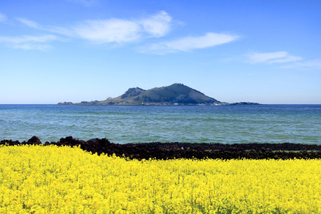 歌诗达邮大西洋号上海-济州-福冈-鹿儿岛-上海5晚6