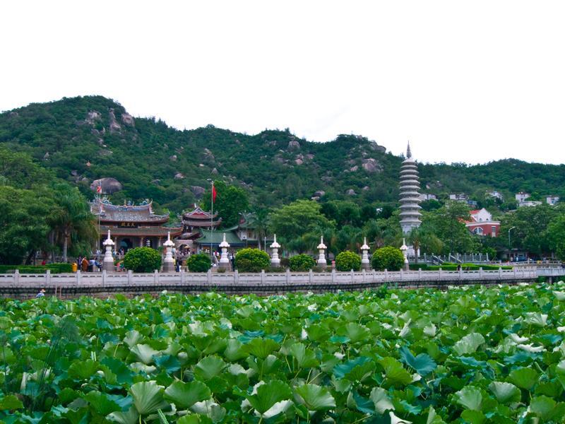 万石人口_万石植物园(2)