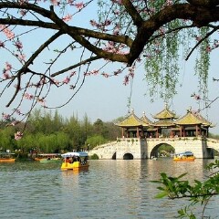 景点模块 