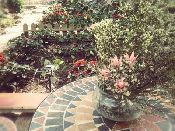 <厦门-鼓浪屿3日自助游>1晚鼓浪屿磐诺假日酒店，1晚7天SM广场店