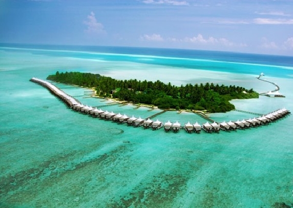 <马尔代夫哈库拉岛Chaaya Hakuraa4晚6日自助游>上海出发
