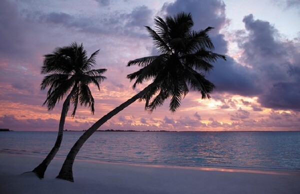 <马尔代夫香格里拉岛Shangri-la4晚6日自助游>上海出发