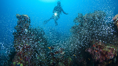 马尔代夫柏悦哈达哈岛-迪拜7晚8日自助游 双国