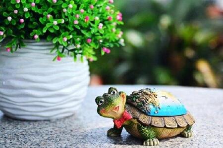 【厦门<em>艾薇</em>庄园】<em>地址</em>:思明区环岛南路曾厝埯