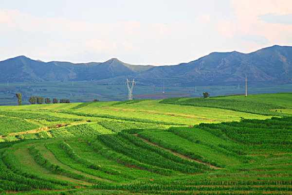 赤峰攻略出行_赤峰攻略旅游*草原_赤峰个人旅游草原一草原在莫斯科旅游线路图片