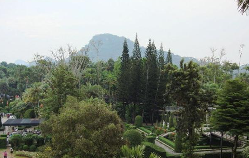 泰国旅游签证多少钱_办理泰国旅游签证_泰国