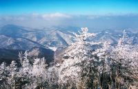 去怀北国际滑雪场滑雪