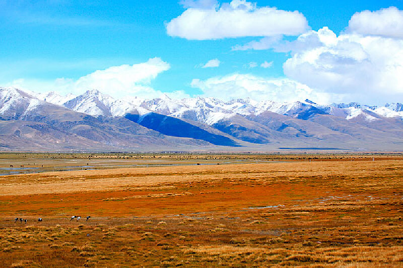 西藏旅游团多少钱_西藏旅游要多少钱_西藏旅