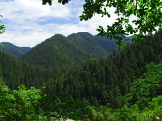 兴隆山景区
