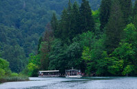 马瑙斯丛林旅行