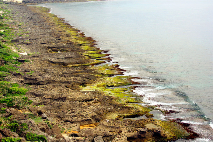 巴士海峡的裙礁海岸