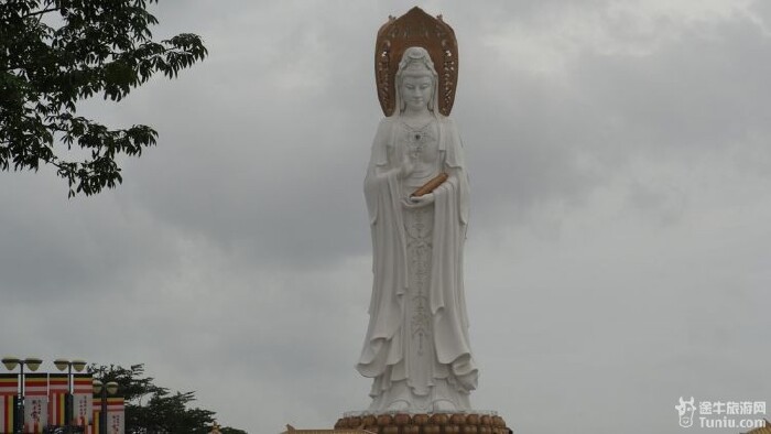 南海观音和火山爆发猜一成语_木猜一成语疯狂看图