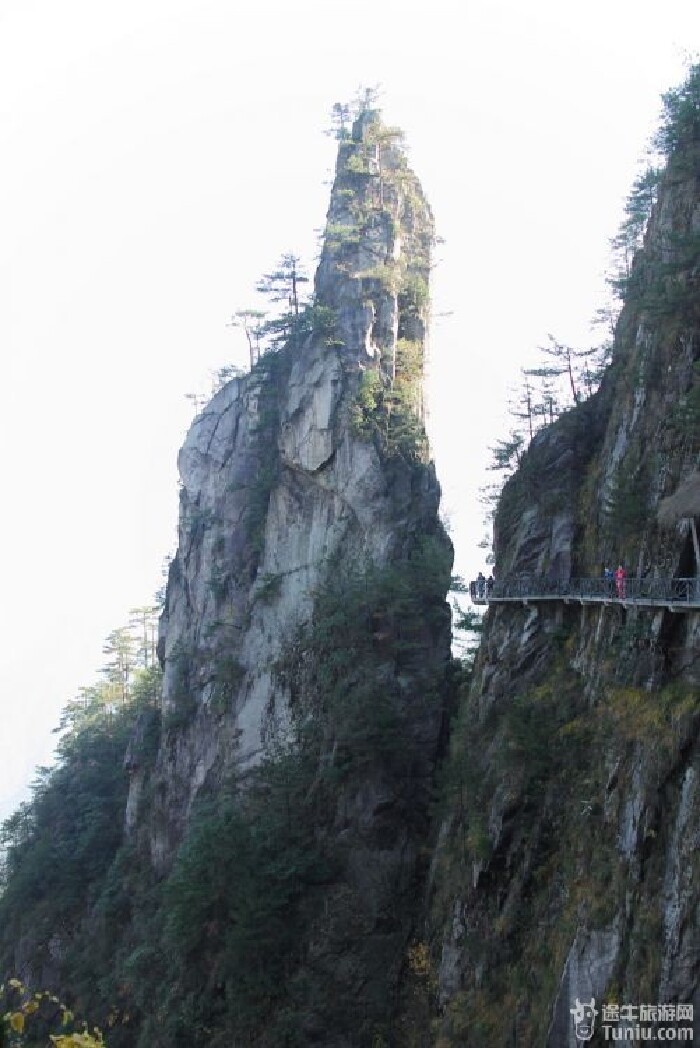 大明山游记