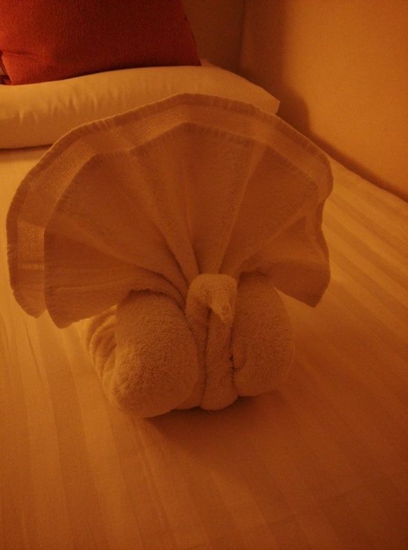 客房服务员用浴巾叠的孔雀开屏