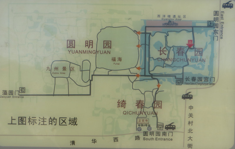 圆明园冬日里的黑天鹅