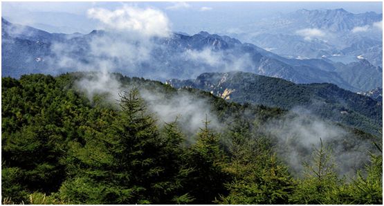 雾灵山风景区旅游攻略_雾灵山风景区旅游住宿_雾灵山风景区旅游门票